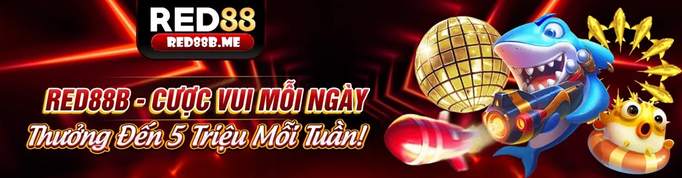 Tổng hợp các loại trò chơi phổ biến tại 11 Bet