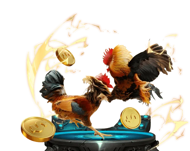 Giao diện nền tảng 11 bet chuyên nghiệp